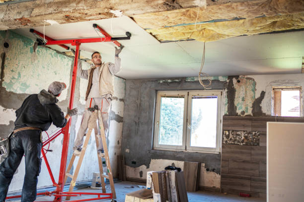 Best Home Insulation Services  in Lyndon, KY